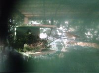 WP_000669.jpg