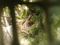 WP_000667.jpg