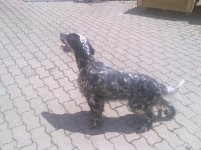 10052012050.jpg