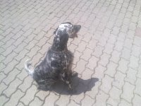 10052012052.jpg