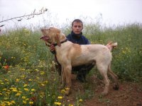 DSCN1056.jpg