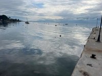 f8a86105-b4d7-41bb-815e-bbd43bd07df3.jpg