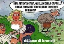 Immagine WhatsApp 2023-07-20 ore 15.26.16.jpg