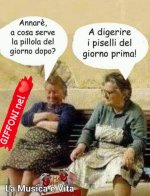 Immagine WhatsApp 2023-07-24 ore 14.55.26.jpg