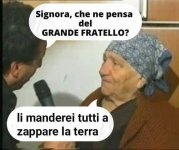 Immagine WhatsApp 2023-10-25 ore 16.41.53_fca943a0.jpg