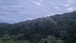 IMG-20240108-WA0007.jpg