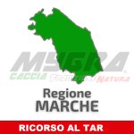 MARCHE. LA LAC ANNUNCIA CHE PRESENTERÀ RICORSO AL TAR CONTRO IL NUOVO CALENDARIO VENATORIO