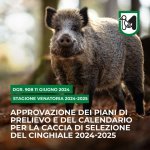 Marche. Approvazione dei Piani per la caccia di selezione del Cinghiale 2024-2025