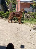 IMG_6724.jpeg