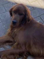 IMG_6725.jpeg
