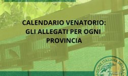 FIDC LOMBARDIA.jpg