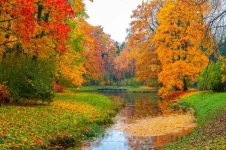 GIORNATA NAZIONALE DEGLI ALBERI, PATRIMONIO INESTIMABILE