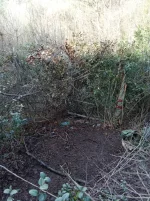 IMG-20250130-WA0019.webp