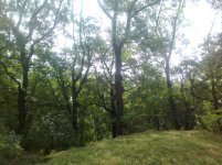 Foto0926.jpg