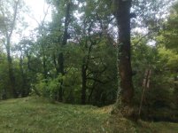 Foto0927.jpg
