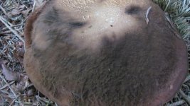 IMG_0031.jpg