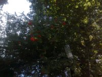 Foto0997.jpg