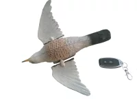 Pulita 2.webp