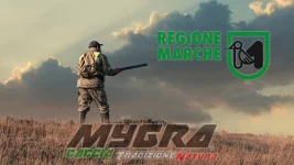 Marche icona.webp