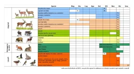 Bolzano: Calendario venatorio 2025/2026