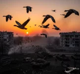 L'Ombra della Guerra: Un Pericolo Silenzioso per gli Uccelli Migratori