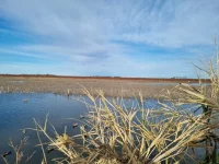 IMG-20250623-WA0124.webp