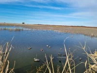 IMG-20250623-WA0122.webp