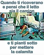 36.webp