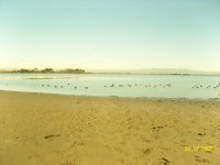 SNV10272.jpg