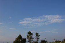 DSC_6029.jpg