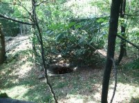 2012-08-23 09.54.16.jpg