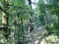 2012-08-23 09.54.36.jpg