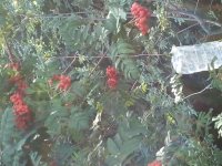 2012-08-23 09.56.12.jpg
