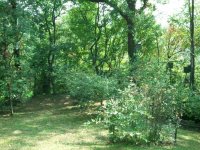 2012-09-08 15.41.25.jpg