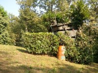 2012-09-08 15.43.11.jpg