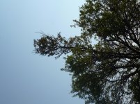 P1000261.jpg