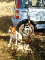 2012-09-20 09.58.07.jpg