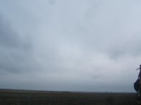 Provate e contarle in cielo.jpg