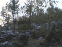 11092007(009).jpg