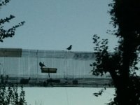 2012-10-16 08.03.58.jpg