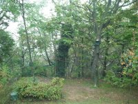 2012-10-26 08.48.17.jpg