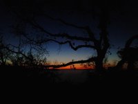 2013-01-06 06.58.04.jpg