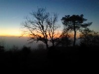 2013-01-06 07.10.25.jpg