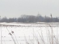 IMG_0028.jpg