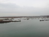 IMG_0021.jpg