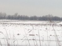IMG_0026.jpg