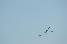 DSC03145.JPG
